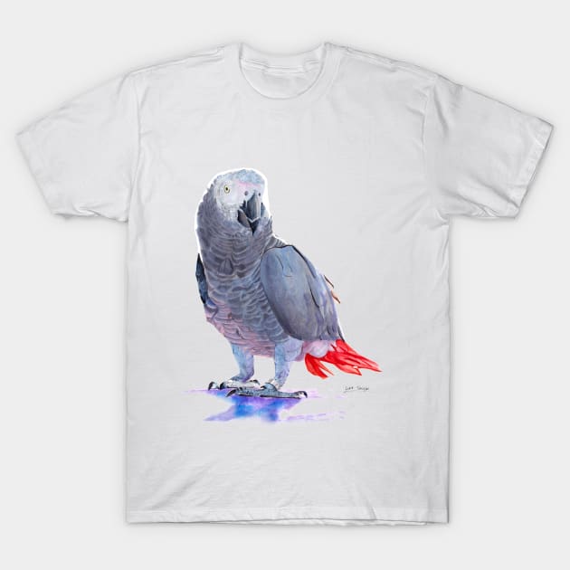 African grey t shirt outlet